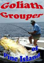Goliath Grouper of Pine Island Florida (DVD)